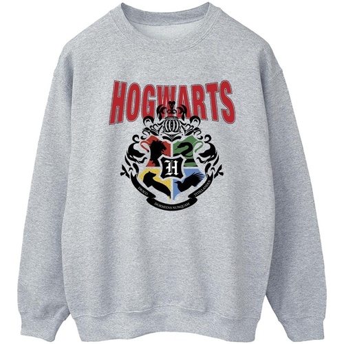 Vêtements Femme Sweats Harry Potter Hogwarts Emblem Gris
