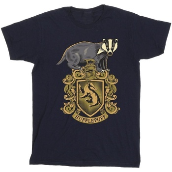 Vêtements Garçon T-shirts manches courtes Harry Potter Hufflepuff Sketch Crest Bleu