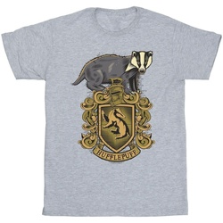 Vêtements Garçon T-shirts manches courtes Harry Potter Hufflepuff Sketch Crest Gris