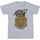 Vêtements Garçon T-shirts text-print manches courtes Harry Potter  Gris