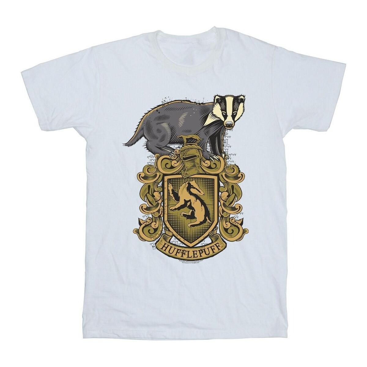 Vêtements Garçon T-shirts manches courtes Harry Potter Hufflepuff Sketch Crest Blanc