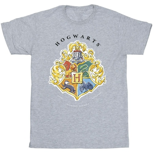 Vêtements Garçon T-shirts manches courtes Harry Potter Hogwarts School Emblem Gris