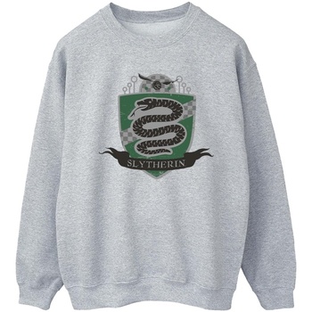 Vêtements Femme Sweats Harry Potter Slytherin Chest Badge Gris
