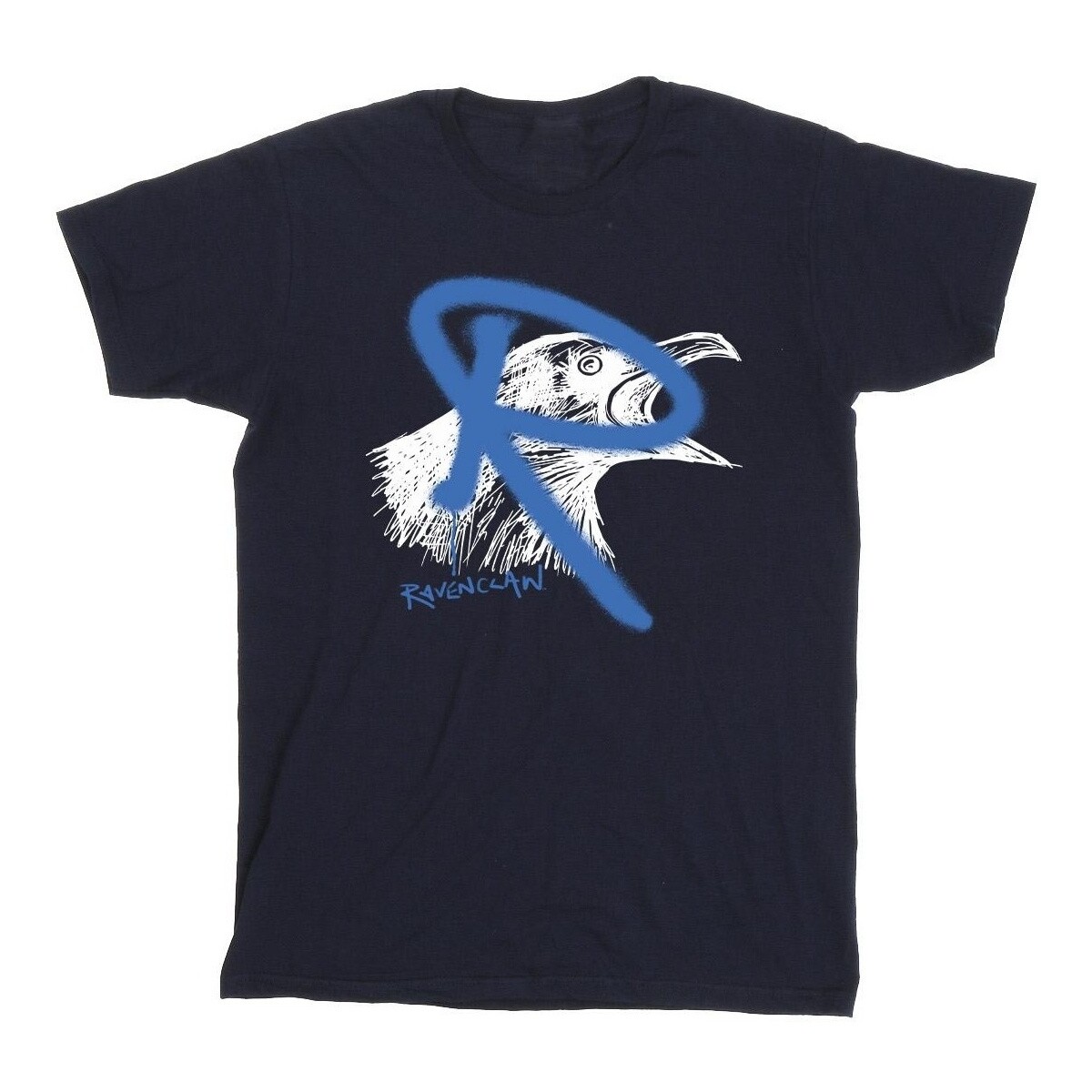 Vêtements Garçon T-shirts manches courtes Harry Potter Ravenclaw Pop Spray Bleu