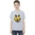 Vêtements Garçon T-shirts manches courtes Harry Potter Hufflepuff Pop Spray Gris