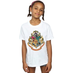Vêtements Fille T-shirts manches longues Harry Potter Hogwarts Crest Gold Ink Blanc