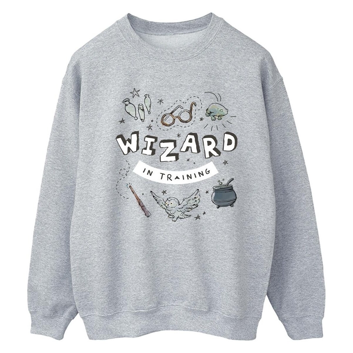 Vêtements Femme Sweats Harry Potter Wizard In Training Gris