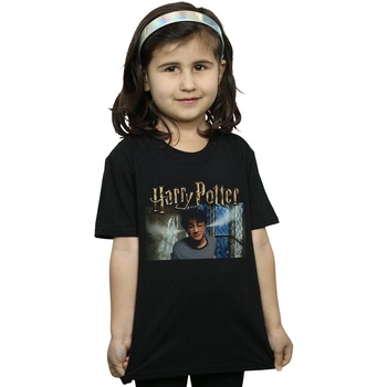 Vêtements Fille La Maison De Le Harry Potter Steam Ears Noir
