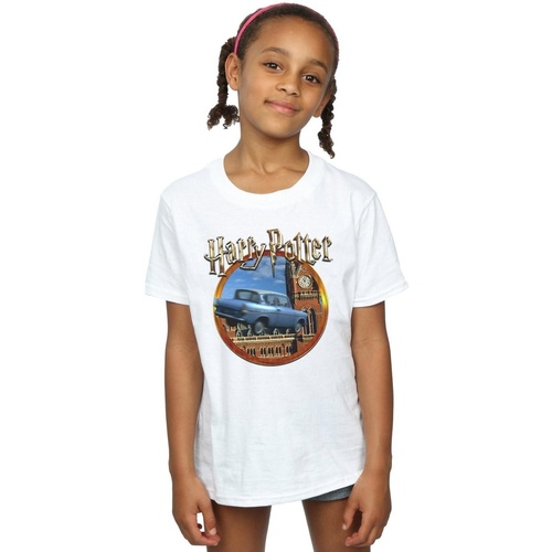 Vêtements Fille T-shirts manches longues Harry Potter Flying Car Blanc