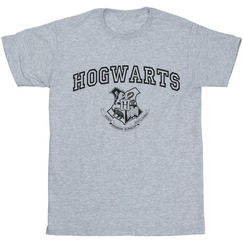 Vêtements Fille T-shirts Shorts manches longues Harry Potter Hogwarts Crest Gris