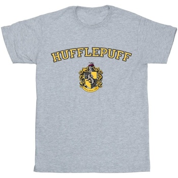 Vêtements Fille T-shirts manches longues Harry Potter Hufflepuff Crest Gris