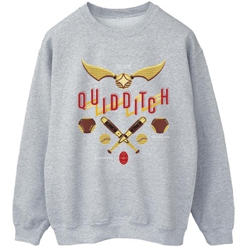 Vêtements Femme Sweats Harry Potter Quidditch Golden Snitch Gris
