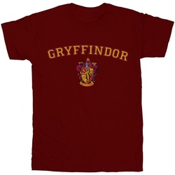 Vêtements Fille T-shirts manches longues Harry Potter Gryffindor Crest Multicolore