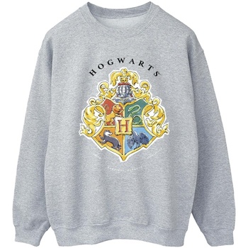 Vêtements Femme Sweats Harry Potter Hogwarts School Emblem Gris