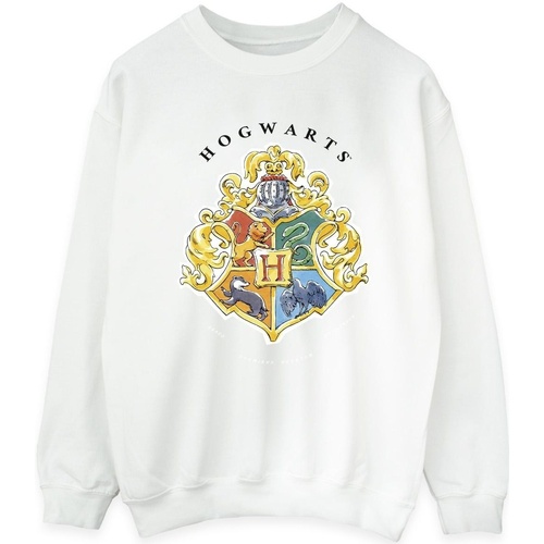 Vêtements Femme Sweats Harry Potter Hogwarts School Emblem Blanc