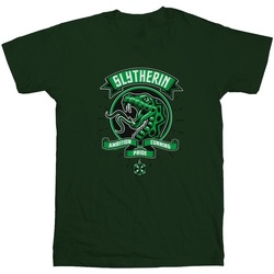 Vêtements Fille T-shirts manches longues Harry Potter Slytherin Toon Crest Vert