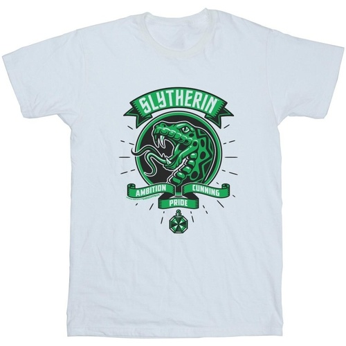 Vêtements Fille T-shirts manches longues Harry Potter Slytherin Toon Crest Blanc