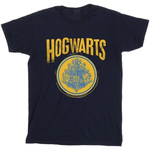 Vêtements Fille T-shirts manches longues Harry Potter Hogwarts Circle Crest Bleu