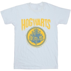 Vêtements Fille T-shirts manches longues Harry Potter Hogwarts Circle Crest Blanc