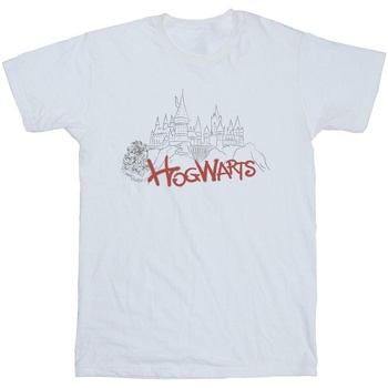 Vêtements Fille T-shirts manches longues Harry Potter Hogwarts Castle Spray Blanc