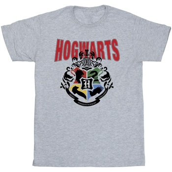 Vêtements Fille T-shirts Shorts manches longues Harry Potter Hogwarts Emblem Gris