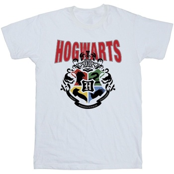 Vêtements Fille T-shirts Shorts manches longues Harry Potter Hogwarts Emblem Blanc