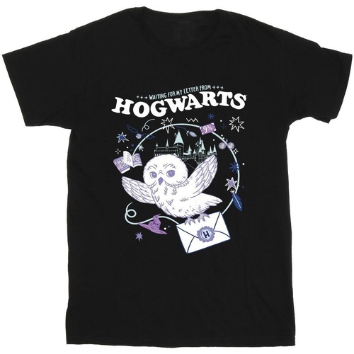 Vêtements Fille T-shirts Shorts manches longues Harry Potter Owl Letter From Hogwarts Noir