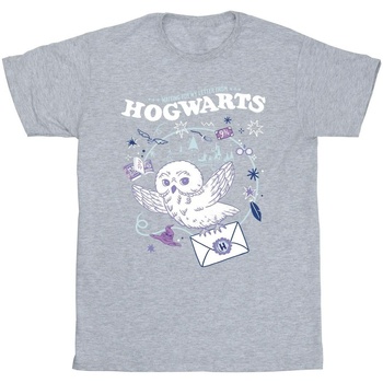 Vêtements Fille T-shirts Shorts manches longues Harry Potter Owl Letter From Hogwarts Gris