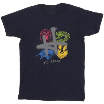 Vêtements Fille T-shirts manches longues Harry Potter Emblems H Spray Bleu