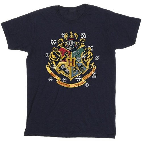 Vêtements Fille T-shirts Shorts manches longues Harry Potter Christmas Crest Bleu