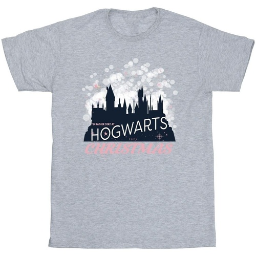 Vêtements Fille T-shirts manches longues Harry Potter Hogwarts Christmas Gris