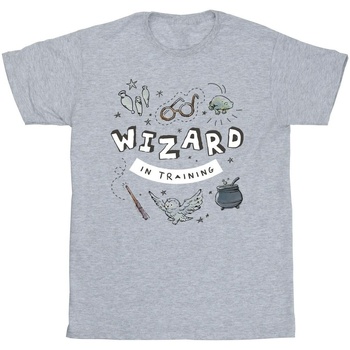 Vêtements Fille T-shirts manches longues Harry Potter Wizard In Training Gris