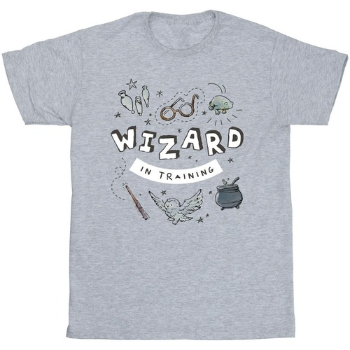 Vêtements Fille T-shirts Shorts manches longues Harry Potter Wizard In Training Gris