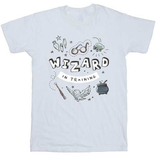 Vêtements Fille T-shirts Shorts manches longues Harry Potter Wizard In Training Blanc