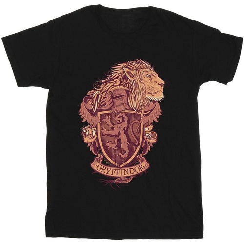 Vêtements Fille T-shirts Shorts manches longues Harry Potter Gryffindor Sketch Crest Noir