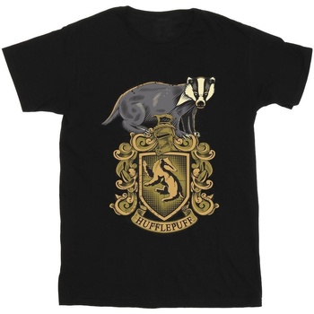 Vêtements Fille T-shirts manches longues Harry Potter Hufflepuff Sketch Crest Noir