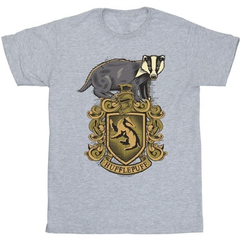 Vêtements Fille T-shirts manches longues Harry Potter Hufflepuff Sketch Crest Gris