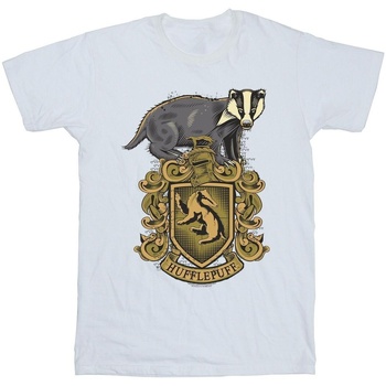 Vêtements Fille T-shirts manches longues Harry Potter Hufflepuff Sketch Crest Blanc
