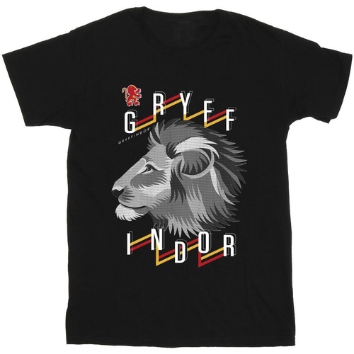 Vêtements Fille T-shirts manches longues Harry Potter Gryffindor Lion Icon Noir