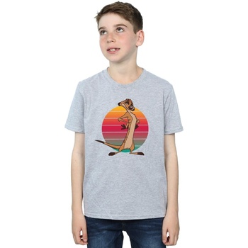 Vêtements Garçon T-shirts manches courtes Disney The Lion King Timon Sunset Gris