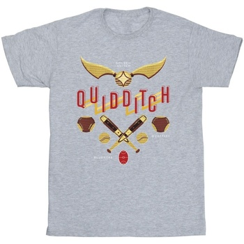 Vêtements Fille T-shirts Shorts manches longues Harry Potter Quidditch Golden Snitch Gris