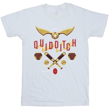 Vêtements Fille T-shirts manches longues Harry Potter Quidditch Golden Snitch Blanc