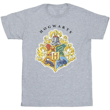 Vêtements Fille T-shirts Shorts manches longues Harry Potter Hogwarts School Emblem Gris