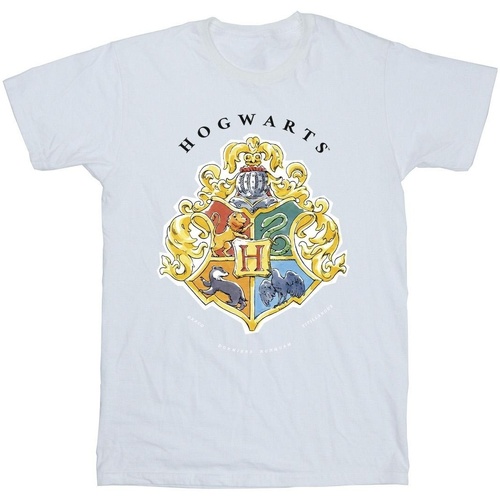 Vêtements Fille T-shirts Shorts manches longues Harry Potter Hogwarts School Emblem Blanc