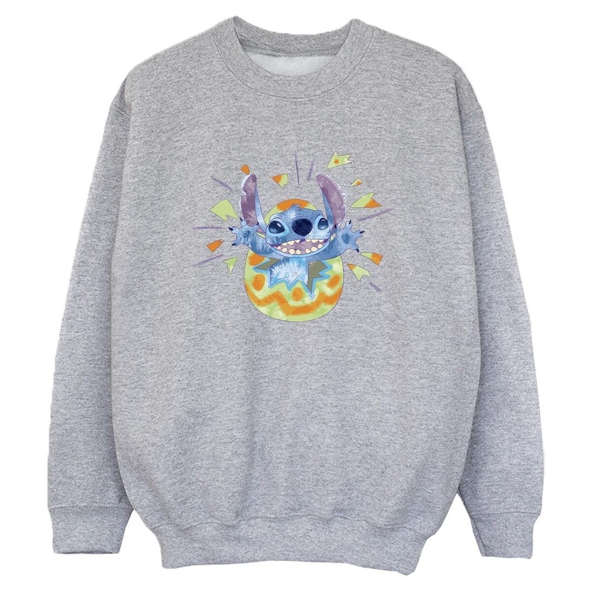 Vêtements Garçon Sweats Disney Lilo & Stitch Cracking Egg Gris