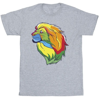 Vêtements Garçon T-shirts manches courtes Disney The Lion King Colours Gris