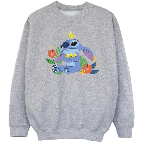 Vêtements Fille Sweats Disney Lilo & Stitch Birds Gris