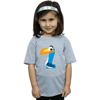 Vêtements Fille T-shirts manches longues Disney Alphabet Z Is For Zazu Gris