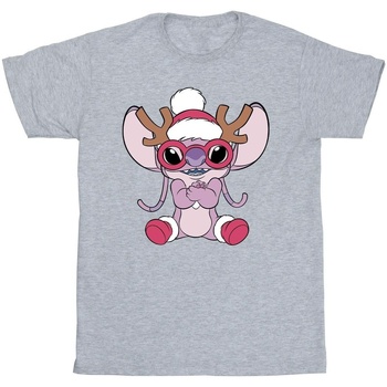 Vêtements Garçon T-shirts manches courtes Disney Lilo & Stitch Angel Reindeer Gris