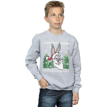 Vêtements Garçon Sweats Dessins Animés Bugs Bunny Christmas Fair Isle Gris
